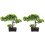 2 Unidades Árvore Bonsai Artificial Vaso Decoração 4