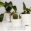 Mini Decorativa Diy Para De 11