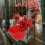 Chicken Drinkers Automatic Refillable Drinking Bowl Red 30 Pcs 11