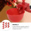 Chicken Drinkers Automatic Refillable Drinking Bowl Red 30 Pcs 10