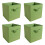 AINPECCA (Sub green) 4X Foldable Storage Collapsible Box 1