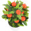 Árvore Artificial Vaso Bonsai De Decoração Simulada 6
