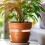 1 Rollo De Para Plantas 11