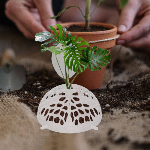 Juego Plantas Plástico Transpirable Floral 1