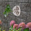 Juego Plantas Plástico Transpirable Floral 4