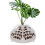 Juego Plantas Plástico Transpirable Floral 7
