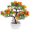 Artificiale Da Decorativa Con 5