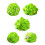5 Pezzi Mini D'erba In Per Bonsai 10