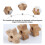 3Stk Holz Zahnputzhalter Pentagram Design Bad Organizer 7