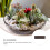 De Miniatura 100Cm X 5Cm Para , Casa, Terrário 10