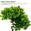 Simulação De Bonsai Árvore Falsa Vaso Artificial 11