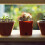 4 Unidades Miniatura Decorativa Flexível 9