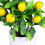 4 Pezzi Bonsai In Con Vaso 5