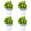 4 Pezzi Bonsai In Con Vaso 10