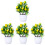 4 Pezzi Bonsai In Con Vaso 7