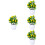 4 Pezzi Bonsai In Con Vaso 11