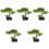 5 Pezzi Albero Bonsai Artificiale in Vaso Decorazione 5