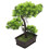 5 Pezzi Albero Bonsai Artificiale in Vaso Decorazione 3