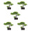 5 Pezzi Albero Bonsai Artificiale in Vaso Decorazione 10