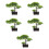 5 Pezzi Albero Bonsai Artificiale in Vaso Decorazione 9