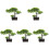 5 Pezzi Albero Bonsai Artificiale in Vaso Decorazione 4