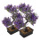 2 Pezzi Albero Bonsai Artificiale Realistico E Ufficio 1