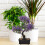 2 Pezzi Albero Bonsai Artificiale Realistico E Ufficio 5
