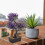 2 Pezzi Albero Bonsai Artificiale Realistico E Ufficio 4
