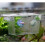 De Isolamento Transparente Para Acrílico 20X10X10Cm 4