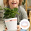 De De Para Proteção De Plantas 7