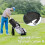 Adjustable Golf Bag Protector Water Resistant Light Weight Golf 6