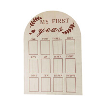 Photo Display Board 12 Months Picture Frame For Newborn First Year Milestones, Nursery Decor, Willow Branches Design