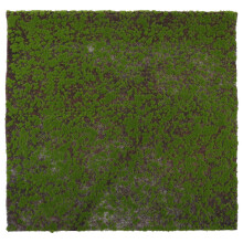 Micro Mousse Mini Jardin Décoratif Ornement