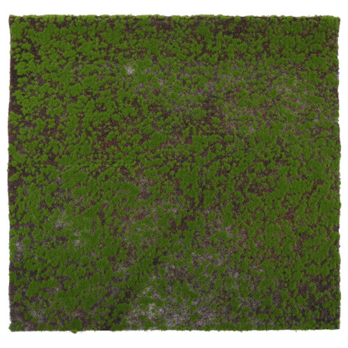 Micro Mousse Mini Jardin Décoratif Ornement