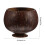 Creative Coconut Craft Ciotola Conservazione Frutta 2