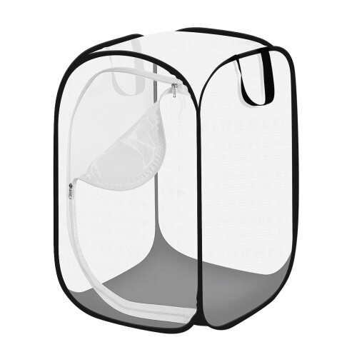 Casa Per Insetti Portatile, Habitat Per , Naturale