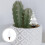 Decorative Self Watering Device for Potted Plants Plastic Ceramic 5