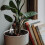 Decorative Self Watering Device for Potted Plants Plastic Ceramic 8