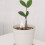Decorative Self Watering Device for Potted Plants Plastic Ceramic 6
