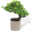 Árvore De Artificial Para Escritório Casa, Miniatura Bonsai 1