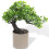 Árvore De Artificial Para Escritório Casa, Miniatura Bonsai 4