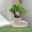 Árvore De Artificial Para Escritório Casa, Miniatura Bonsai 11