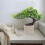 Árvore De Artificial Para Escritório Casa, Miniatura Bonsai 3