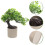 Árvore De Artificial Para Escritório Casa, Miniatura Bonsai 5