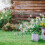 Garden Trellis Per Uccelli In Con Beccatoio 5