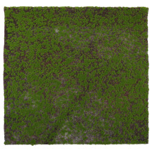 Micro Landschap Kunstmos Mini Decoratie