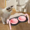 Elevated Cat Bowls Feeding Station Modern With Stand Non Slip Ceramic Pottery Size Medium 4