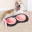 Elevated Cat Bowls Feeding Station Modern With Stand Non Slip Ceramic Pottery Size Medium 3