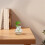 2er-set tischpflanzen-aquarium gläser mit -tray 8