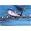 Revell Revell 04210 1:390 Boeing 747 Plastic Kit 1